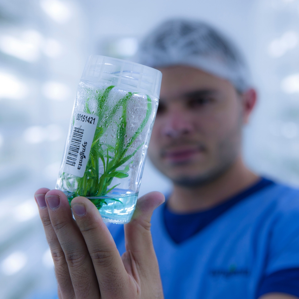Scientist holding up seedling in container