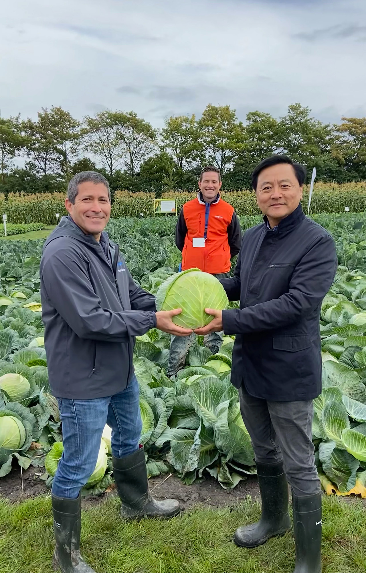 3 men standing in a field, holding a large lettuce