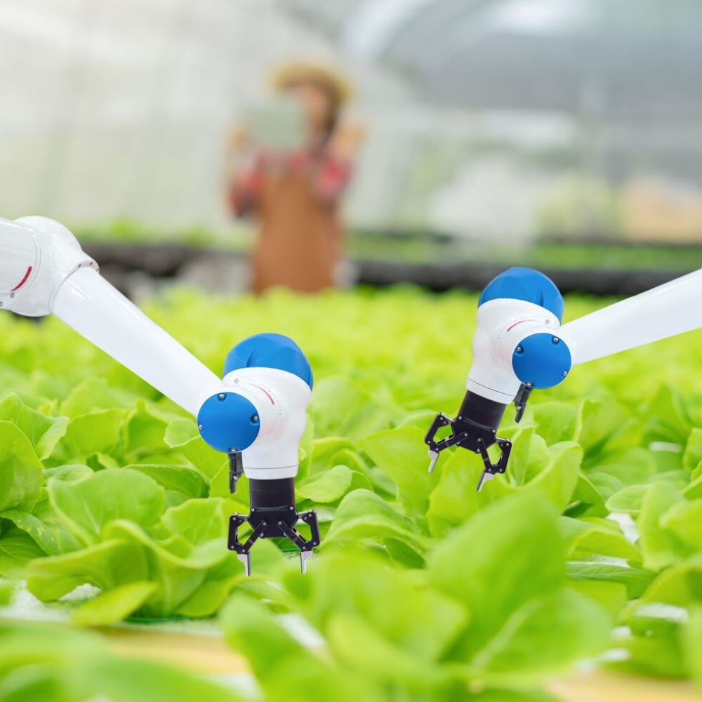 Robot arms tending to plants