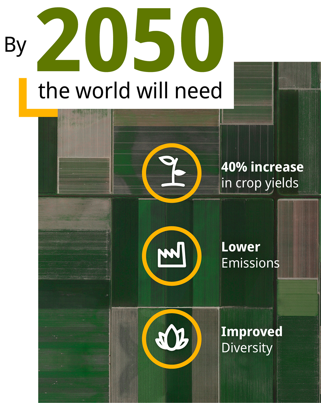 Icons and stats: By 2050 the world will need, 40% increase in crop yields, lower emissions and improved diversity