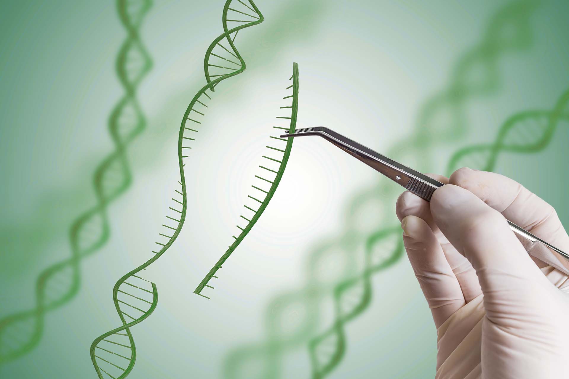 Genome editing tools and enabling technologies