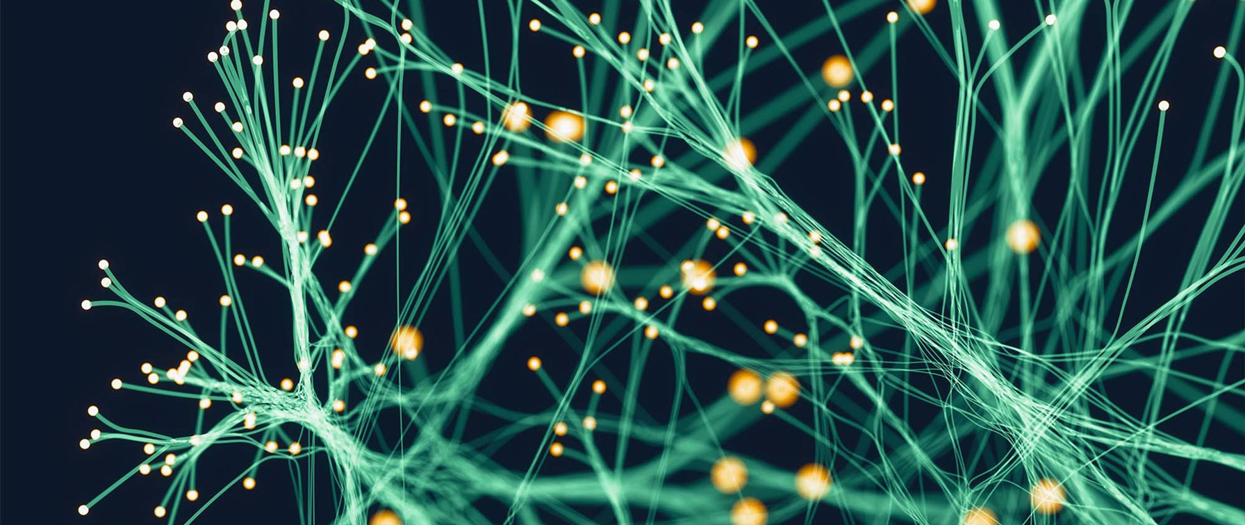 Digital Solutions - Network (Compressed)