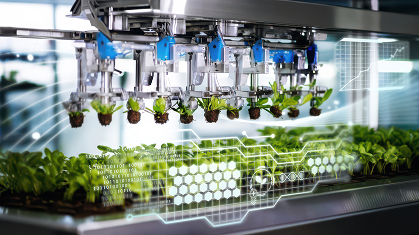 Enabling science and technologies - Mechanical Seedling Planter (Compressed)