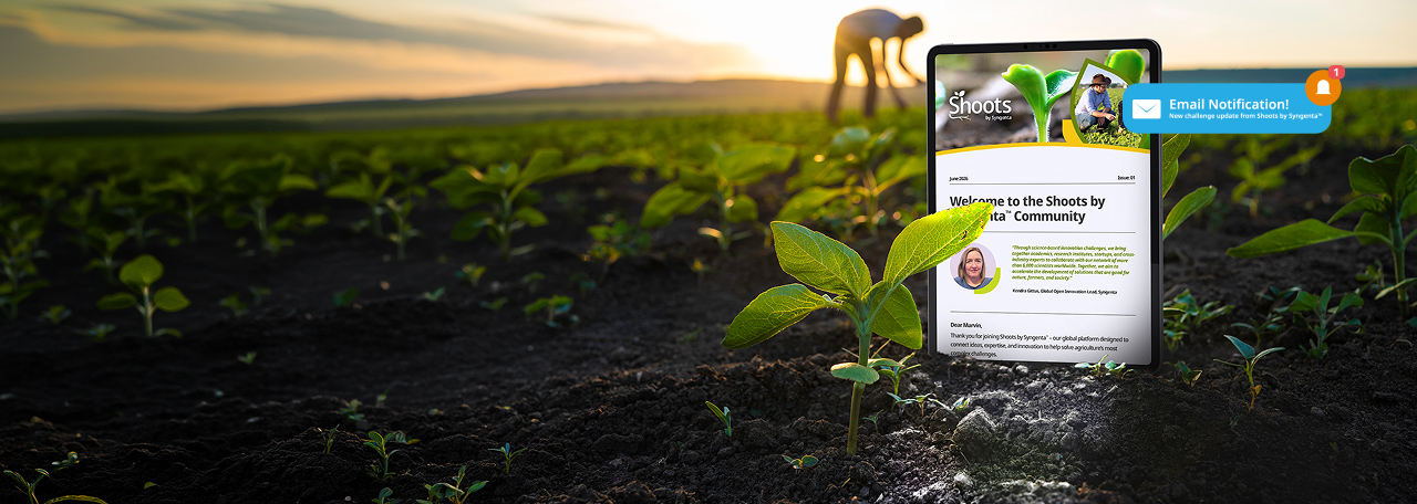 Farmer in a field with the Shoots by Syngenta website on a tablet with a notification