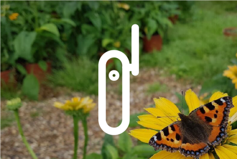 Sensor icon overlaid image of butterfly on flower