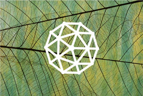 Molecule icon over closeup of the veins in a leaf